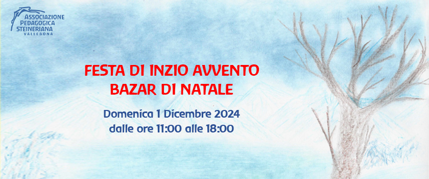 associazione steineriana vallebona festa di inizio avvento bazar di natale 2024